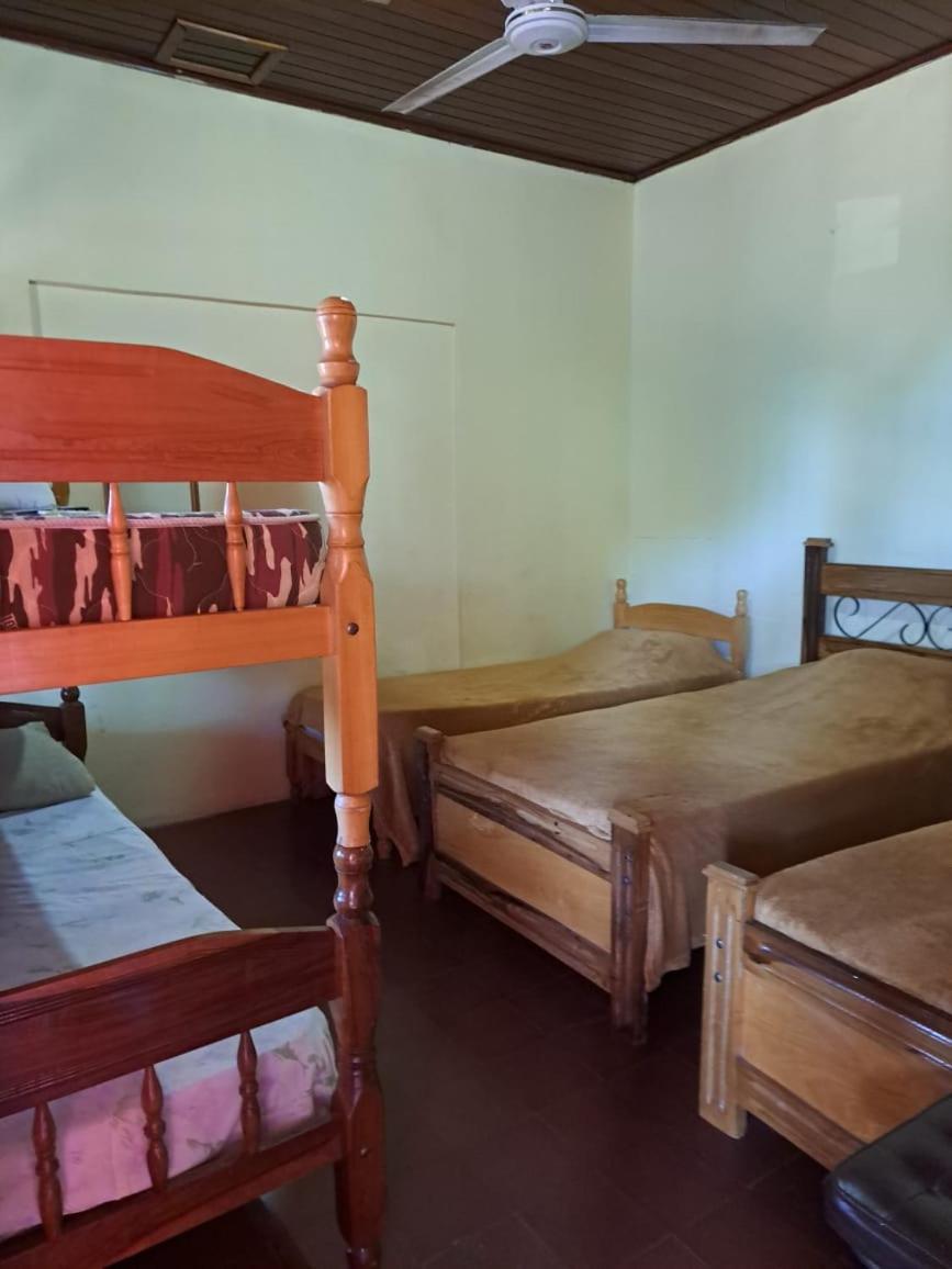 Hummingbird Hostel Ciudad del Este Bagian luar foto